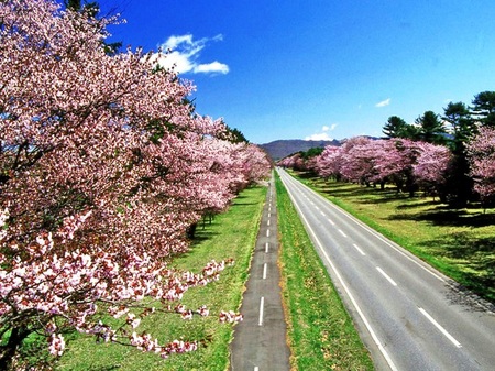 2012-5-9静内 033.jpg